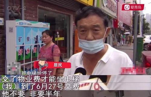 囗交口爆在线视频社区,探索囗交口爆在线视频社区的奥秘与魅力