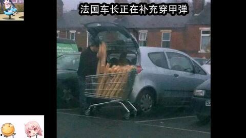 爽乳在线视频